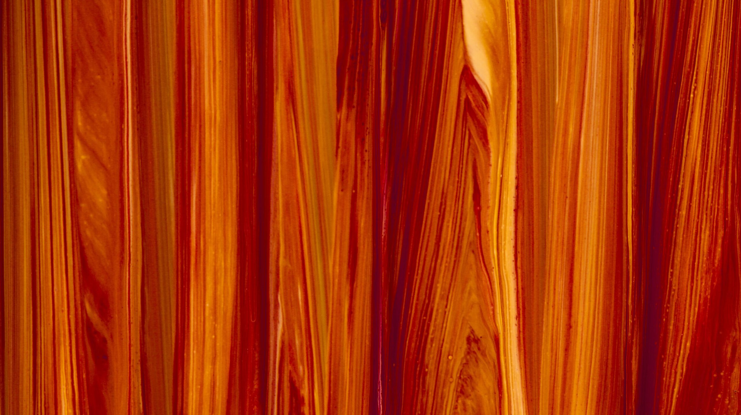 unsplash / @susan_wilkinson