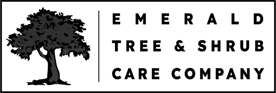 Emerald Tree Care logo - client of unthinkable group